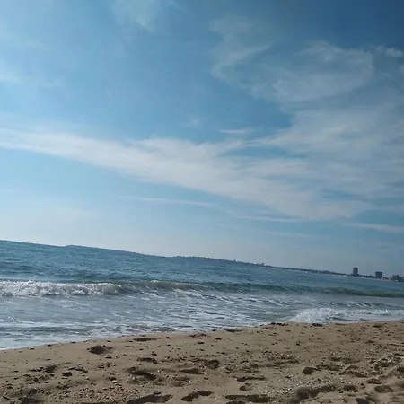 Tania's Apartament *